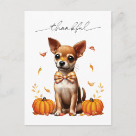 Chihuahua Fall Thankfull Thanksgiving Greeting Car Vykort