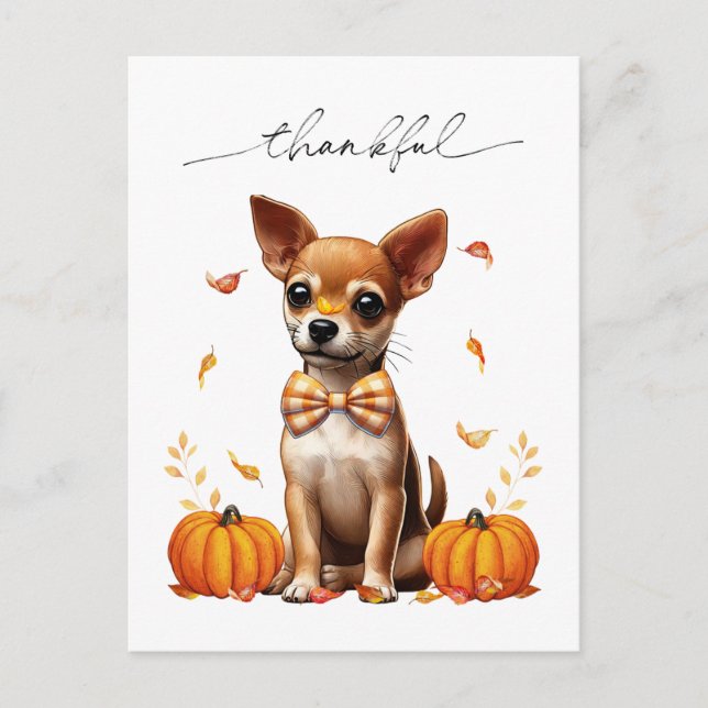 Chihuahua Fall Thankfull Thanksgiving Greeting Car Vykort (Framsida)