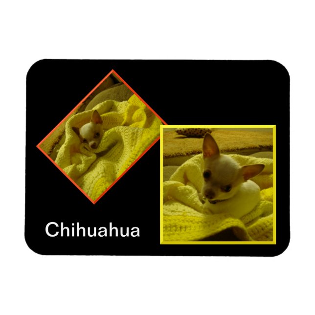 Chihuahua Flexible Photo Magnet (Horisontell)