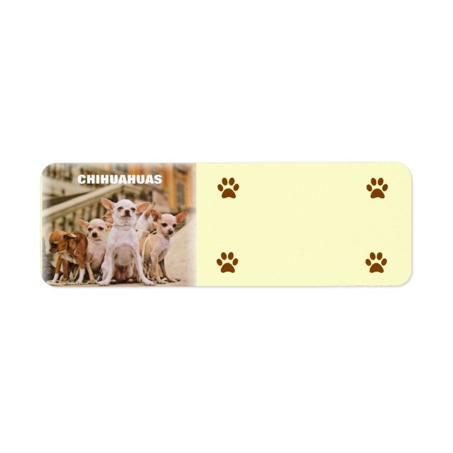 Chihuahua Gang Returadress Etikett (Framsidan)