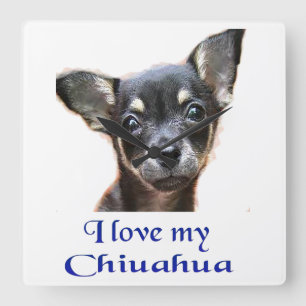 Chihuahua-gåvor Fyrkantig Klocka