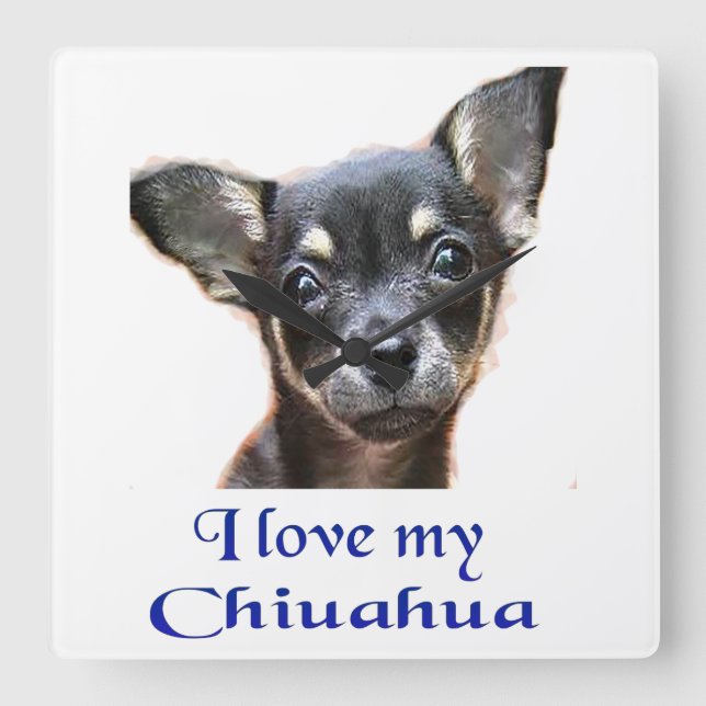 Chihuahua-gåvor Fyrkantig Klocka (Framsida)