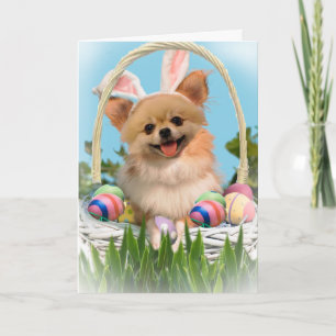 Chihuahua Glad påsk-kort Helgkort