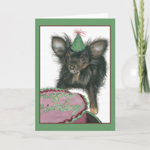 Chihuahua Grattis på födelsedagen Card Kort