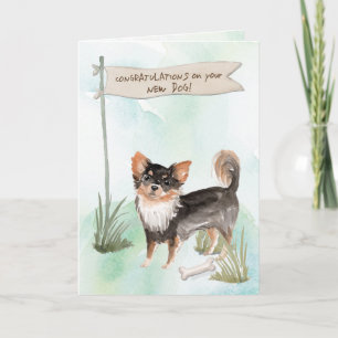 Chihuahua-Grattisar med lång livslängd på ny Hund Kort