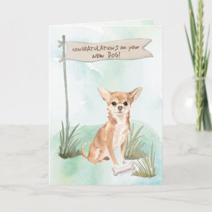 Chihuahua-Grattisar på New Hund Kort