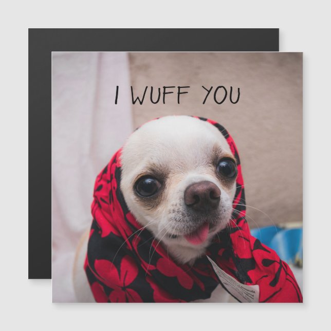 Chihuahua gullig jag önskar dig Valentines-kort fr (Fram/baksida)