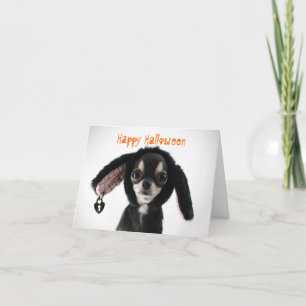 Chihuahua Halloween-hälsningskort Helgkort
