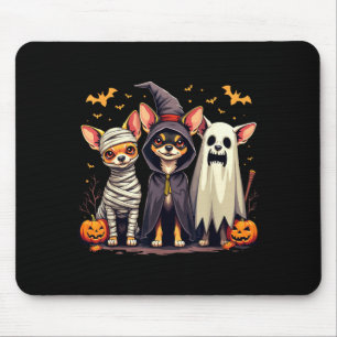Chihuahua Halloween-kostym Mummi Häxa Spöklik Hund Musmatta