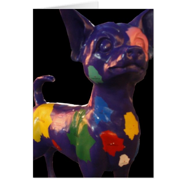 chihuahua hälsningskort (Framsidan)