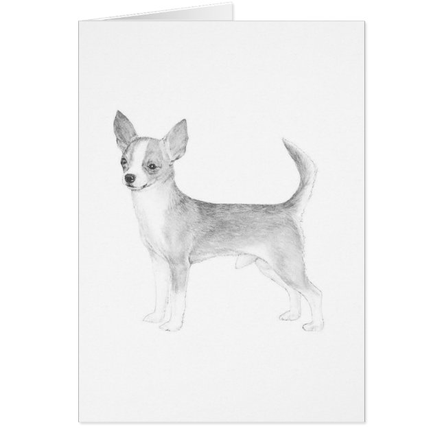 Chihuahua Hälsningskort (Framsidan)
