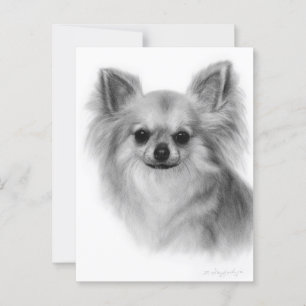 Chihuahua Hand målade Pet Porträtt Vykort