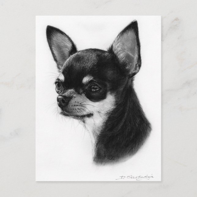 Chihuahua Hand målade teckningar Vykort (Framsida)