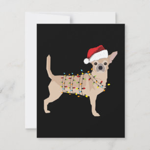 Chihuahua Helgdag Julljus Tack Kort