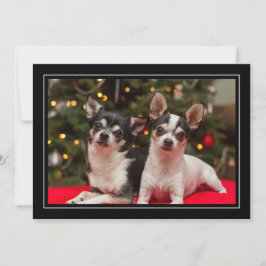 Chihuahua Holiday Greeting Card Julkort