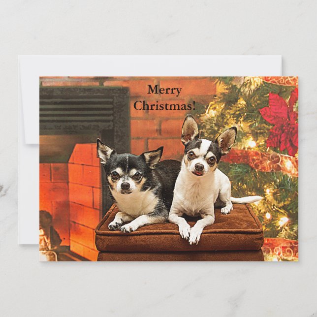 Chihuahua Holiday Greeting Card Julkort (Framsida)