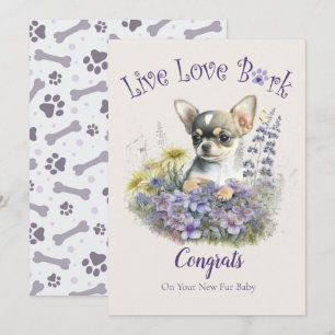 Chihuahua Hund Adoption, Gotcha Day Kort