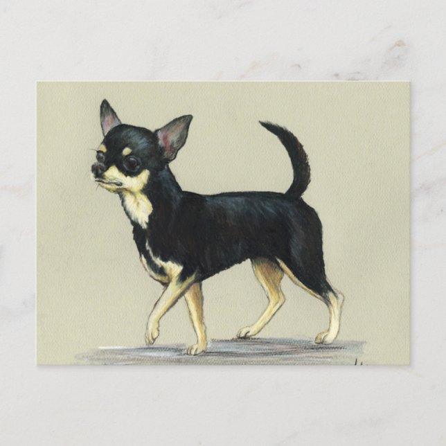 "Chihuahua" Hund Art-vykort Vykort (Framsida)