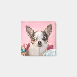 Chihuahua Hund auf rosa Post-it Block