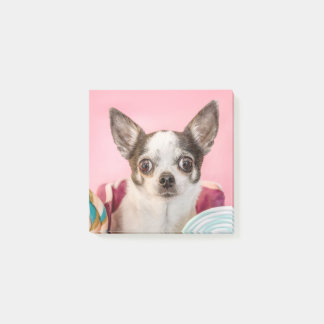 Chihuahua Hund auf rosa Post-it Block