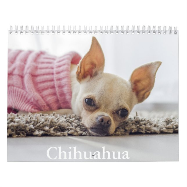Chihuahua Hund Calendar Kalender (Omslag)