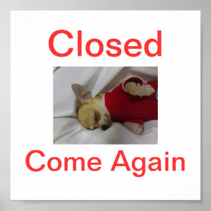 Chihuahua Hund Closed Sign Sleeping Poster