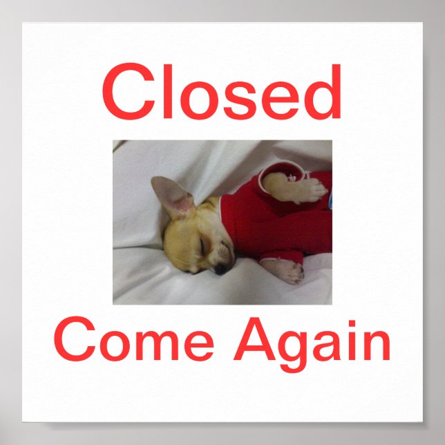 Chihuahua Hund Closed Sign Sleeping Poster (Framsidan)