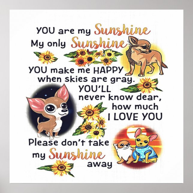 Chihuahua Hund du är solshine | Hund Sunshine Poster (Framsidan)