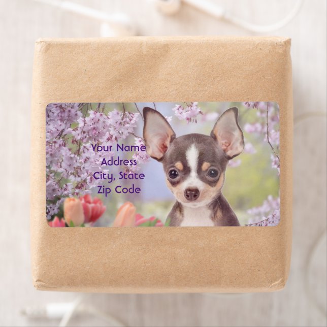 Chihuahua hund-etiketter fraktsedel (Insitu)