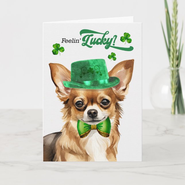 Chihuahua Hund Feelin' Lucky St patrick's day Helgkort (Framsida)