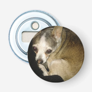 Chihuahua Hund Flaska-öppnare Flasköppnare