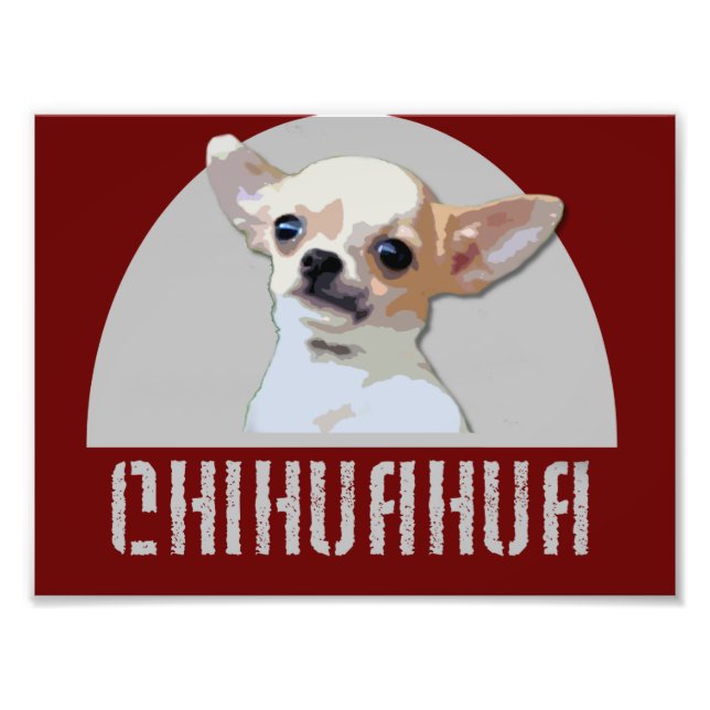 Chihuahua Hund Fototryck (Framsidan)