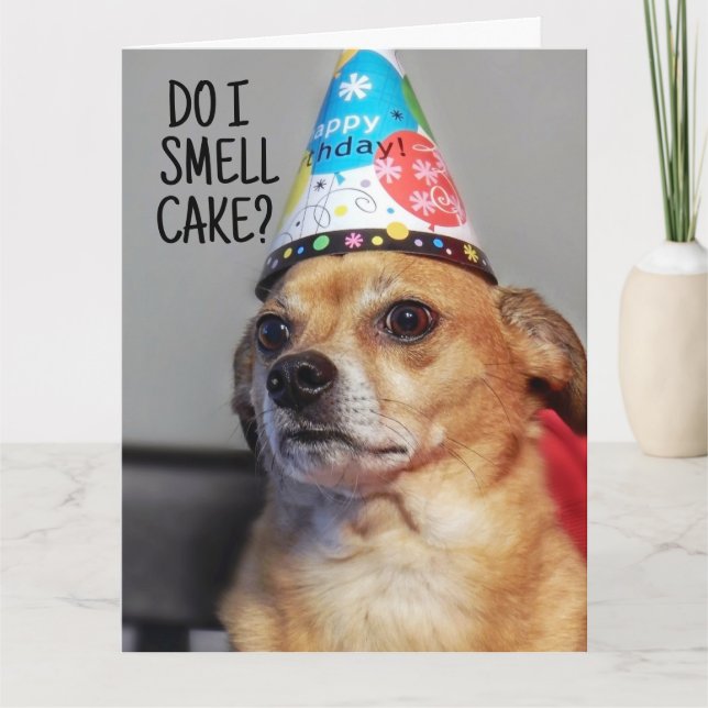 CHIHUAHUA HUND FUNNY BIRTHDAY CARD TACK KORT (Framsida)