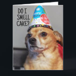 CHIHUAHUA HUND FUNNY BIRTHDAY CARD TACK KORT<br><div class="desc">CUTE BIRTHDAY HUND CARD</div>