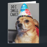 CHIHUAHUA HUND FUNNY BIRTHDAY CARD TACK KORT<br><div class="desc">CUTE BIRTHDAY HUND CARD</div>