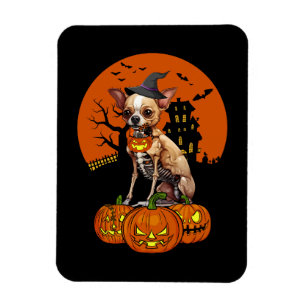 Chihuahua Hund Halloween Magnet