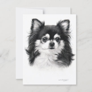 Chihuahua Hund Hand målade teckningar Vykort