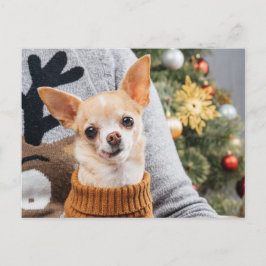 Chihuahua Hund jul med Julgran-vykort Vykort