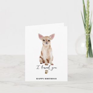 Chihuahua Hund Mamma Valp Husdjur Tass Födelsedag Kort