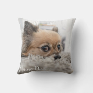 Chihuahua hund med tryck på kattens namn (2 si) kudde