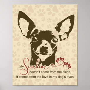 Chihuahua Hund Min Solsken Poster