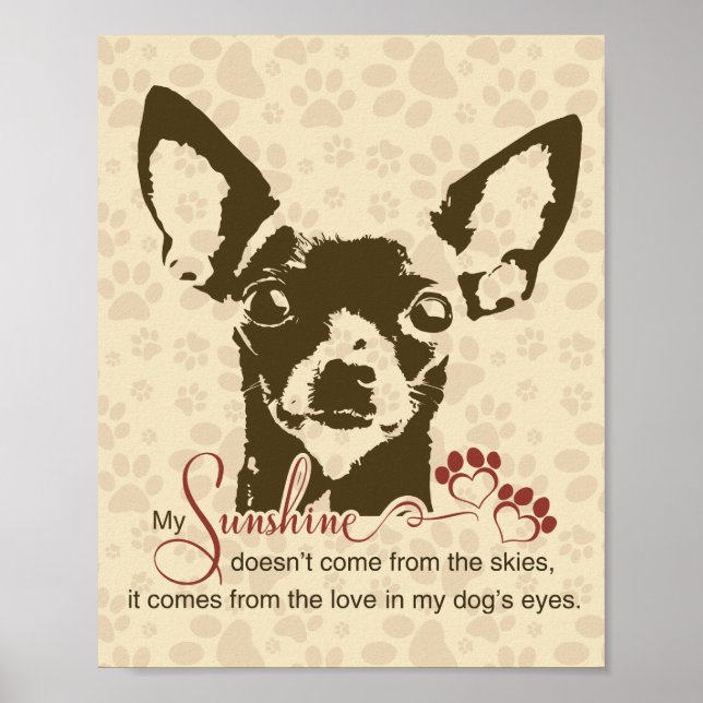 Chihuahua Hund Min Solsken Poster (Framsidan)