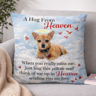 Chihuahua Hund Minnesmärke Husdjur Förlust Sympati Kudde