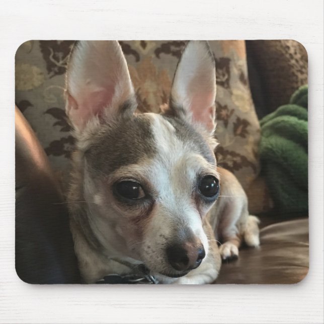 Chihuahua Hund Mousepad Musmatta (Framsidan)
