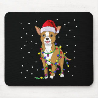 Chihuahua-Hund Musmatta