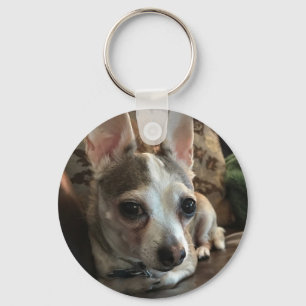 Chihuahua Hund Nyckelring