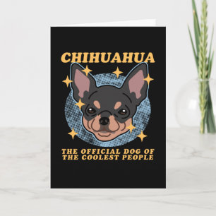 Chihuahua Hund of the Coolest Chihuahuas Kort