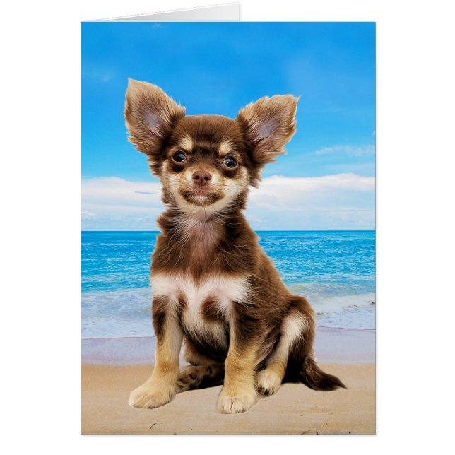 Chihuahua Hund om Tropical Beach Hälsningskort (Framsidan)