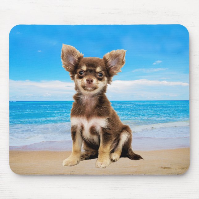 Chihuahua Hund om Tropical Beach Musmatta (Framsidan)