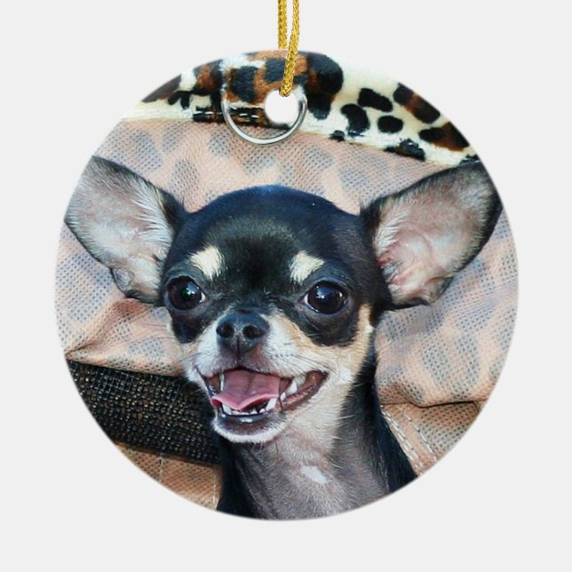 Chihuahua hund ornament (Framsidan)